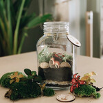 One Of A Kind Atelier terrarium - Mini atelier Inauguration 18 & 19 avril