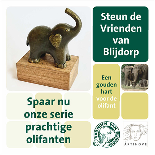 Olifant enkel