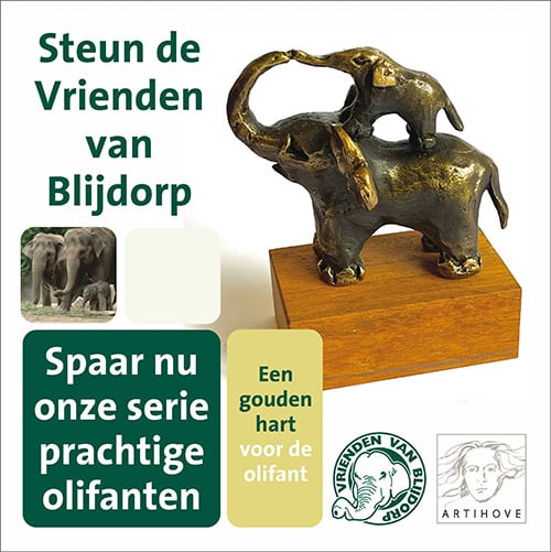 Olifant met jong op rug