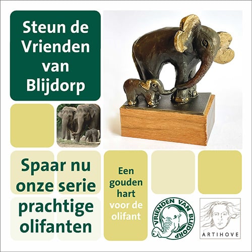 Olifant met jong ernaast