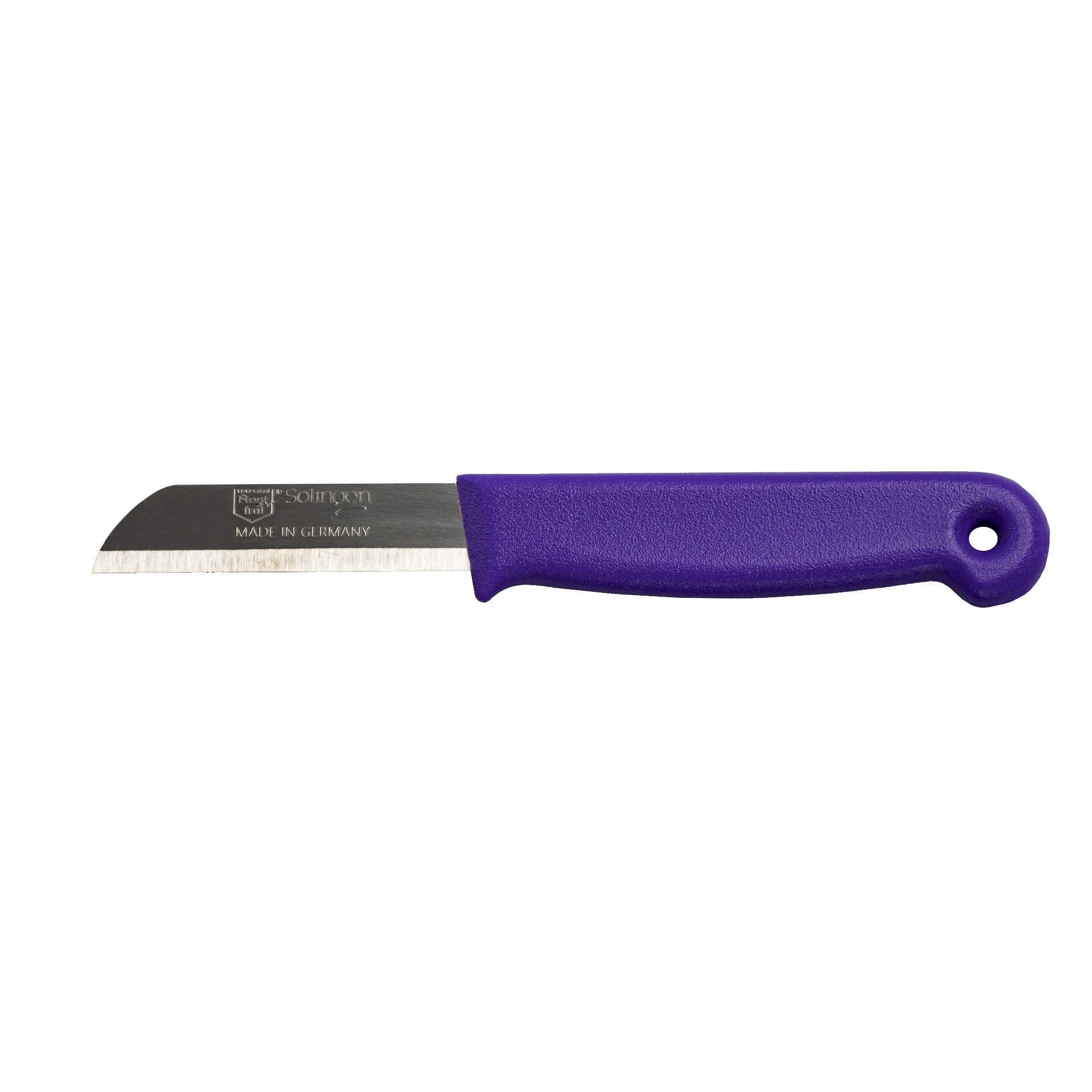 https://cdn.webshopapp.com/shops/331322/files/389025287/file.jpg