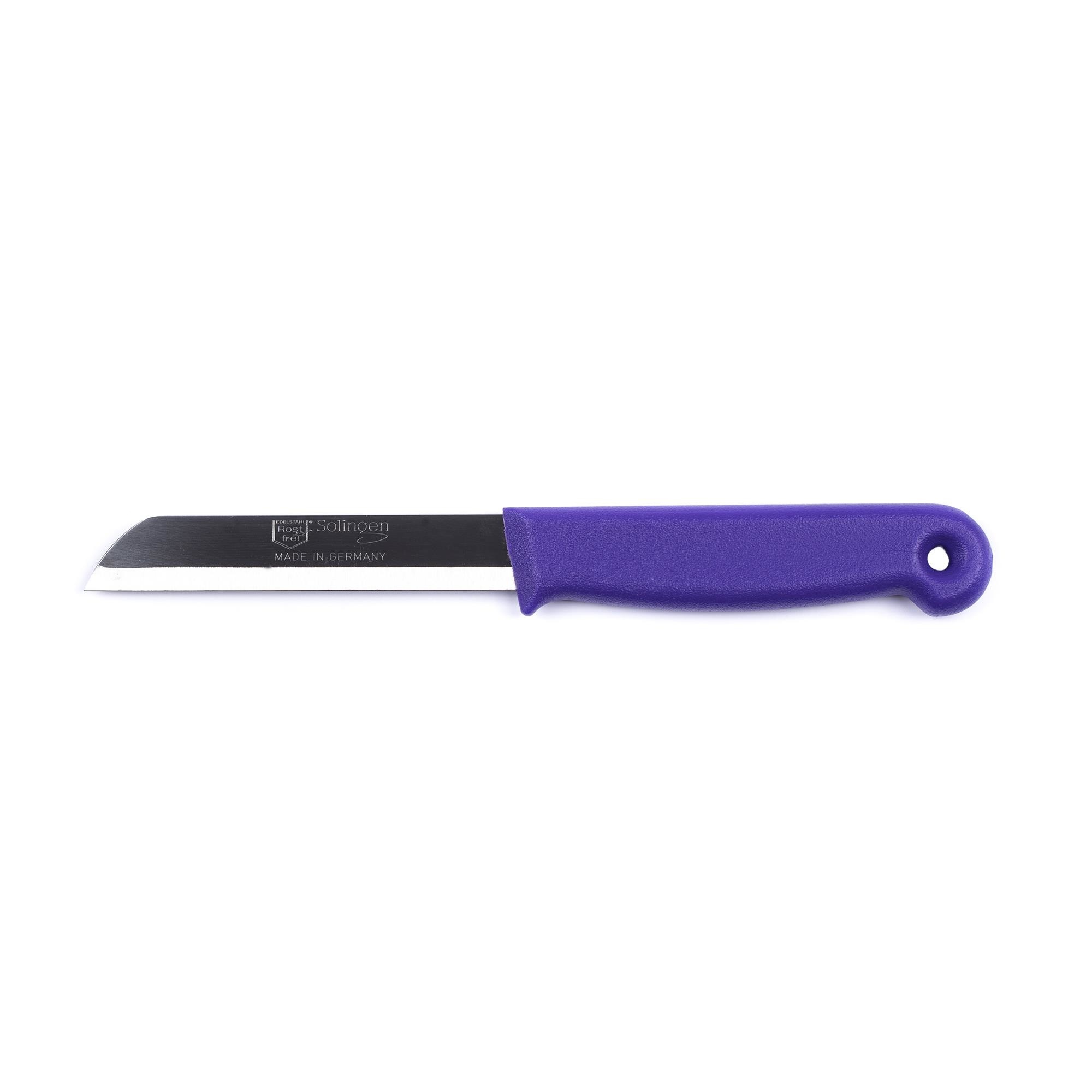 https://cdn.webshopapp.com/shops/331322/files/389025298/file.jpg