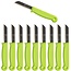 Solingen Schilmesje – RVS Glad – 16 cm met Blade Cover – Groen – 10 Stuks