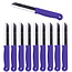 Solingen Schilmesje – RVS Glad – 18,5 cm met Blade Cover – Paars – 10 stuks