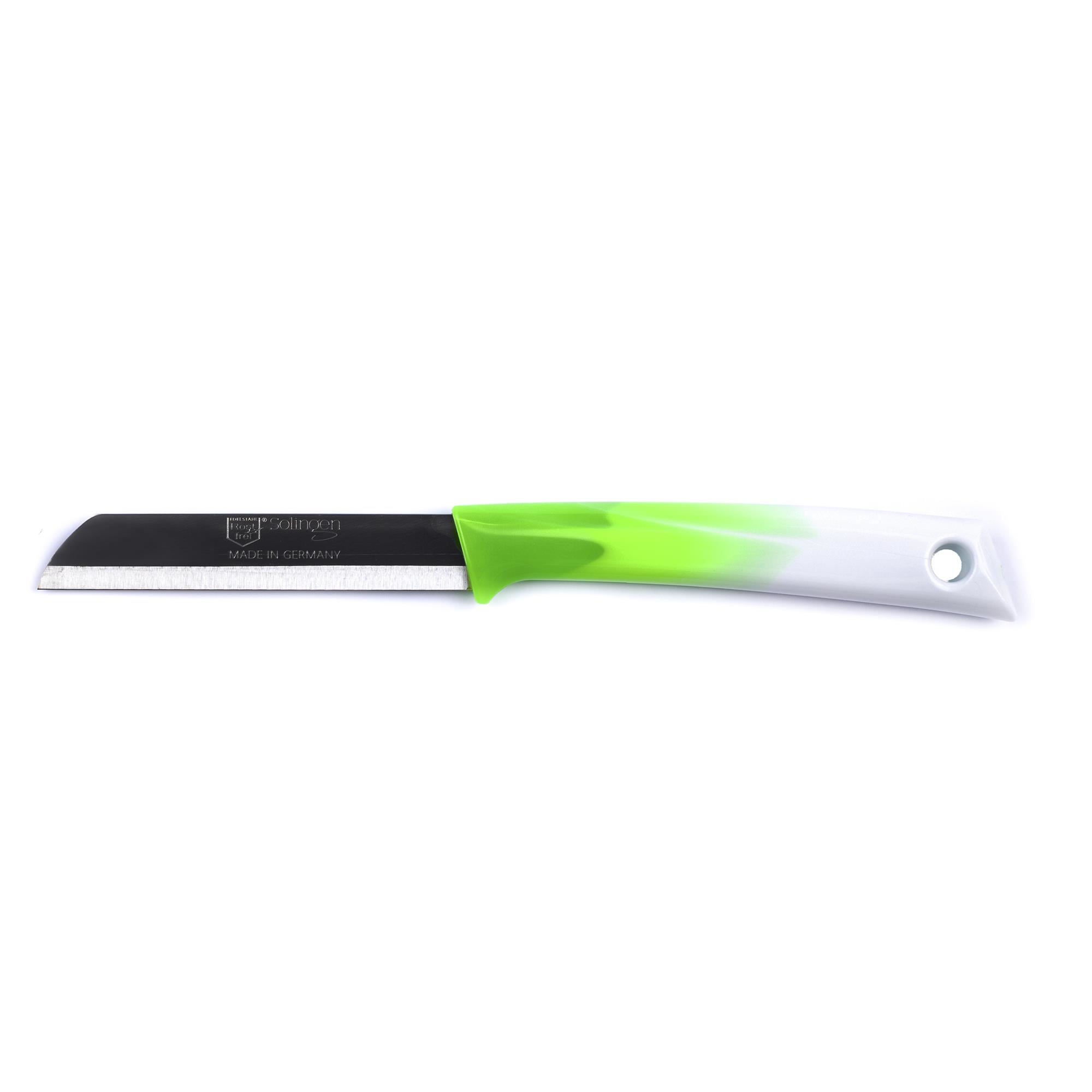 https://cdn.webshopapp.com/shops/331322/files/389929078/file.jpg