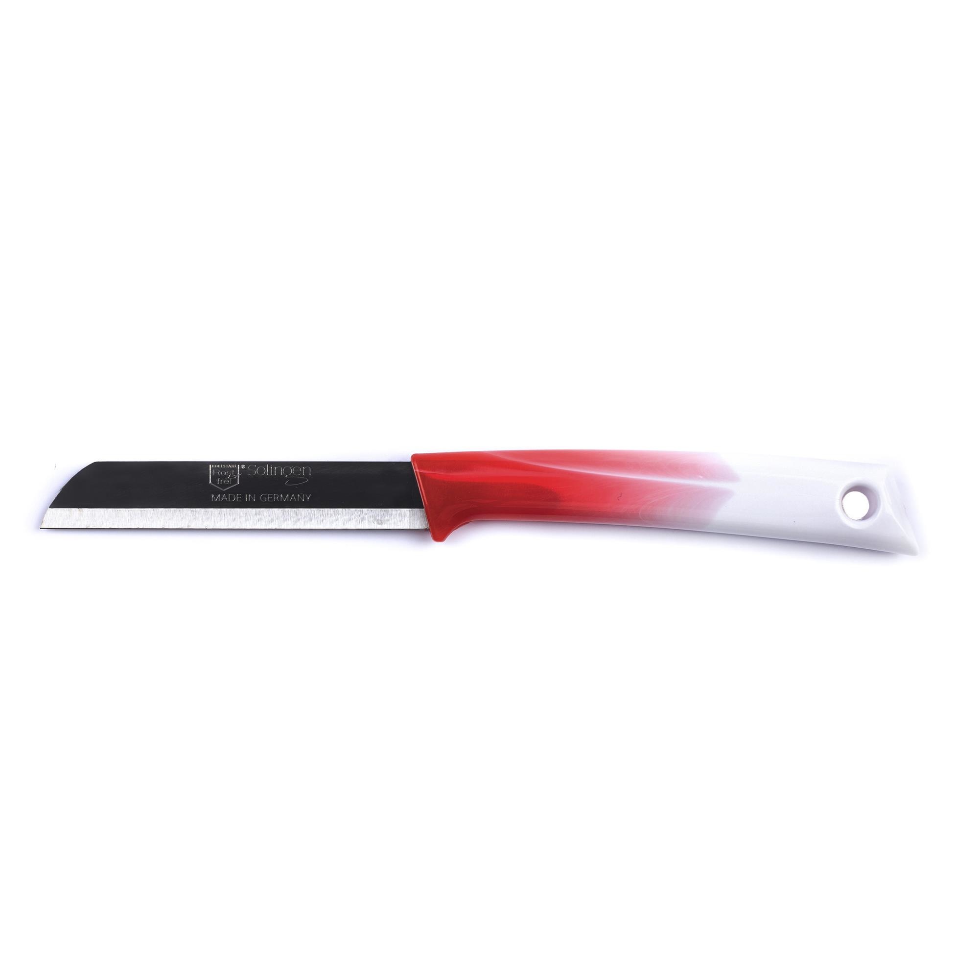 https://cdn.webshopapp.com/shops/331322/files/389929083/file.jpg