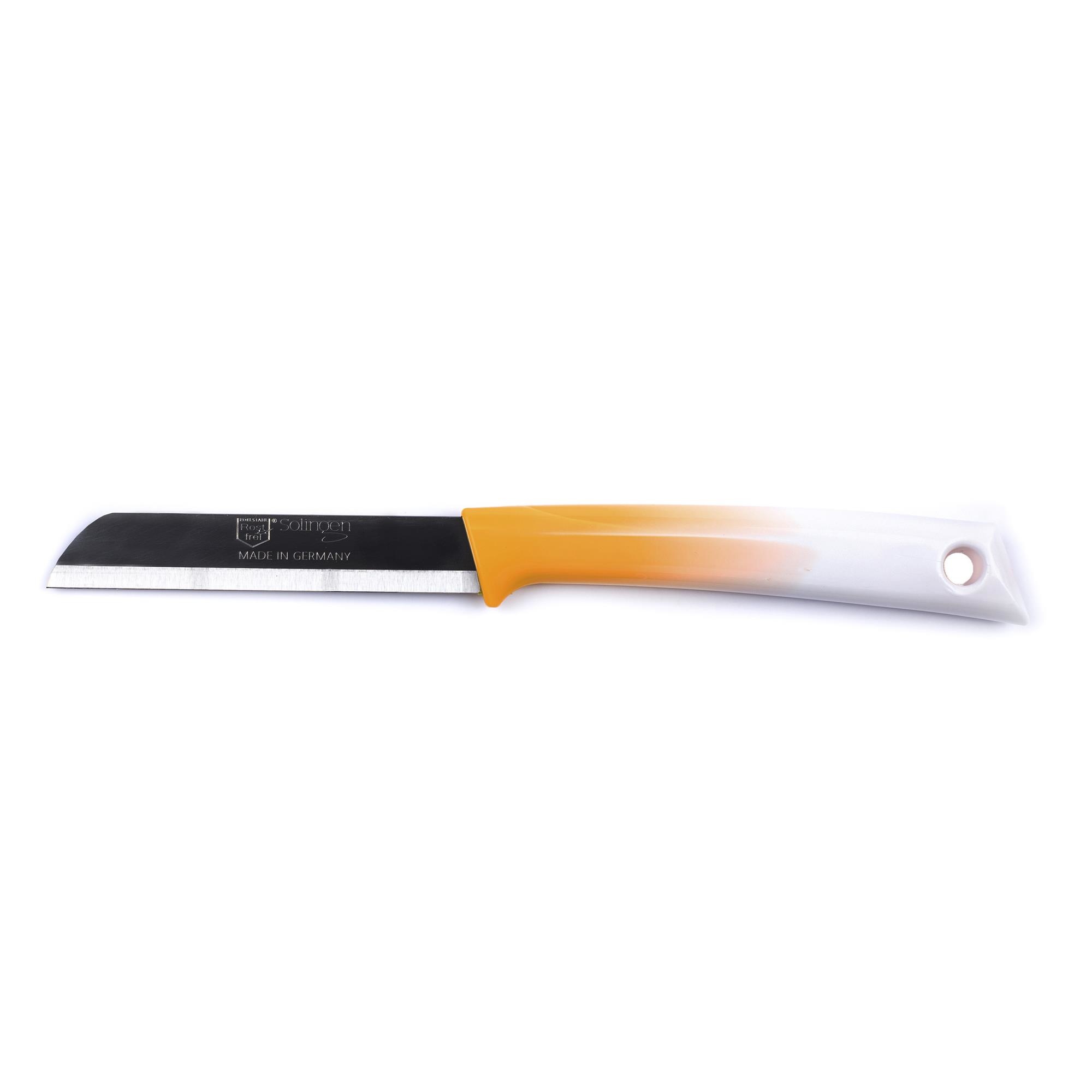 https://cdn.webshopapp.com/shops/331322/files/389929084/file.jpg