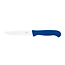 RÖR Solingen Tafelmes – RVS – Lemmet 10,5 cm – Blauw Kunststof – 10 stuks