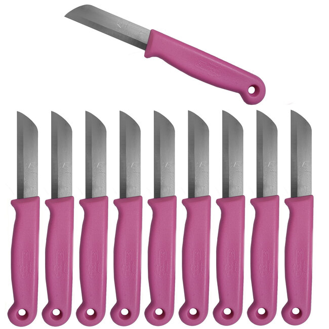 Solingen Schilmesje – RVS Glad – 16 cm met Blade Cover – Roze – 10 Stuks
