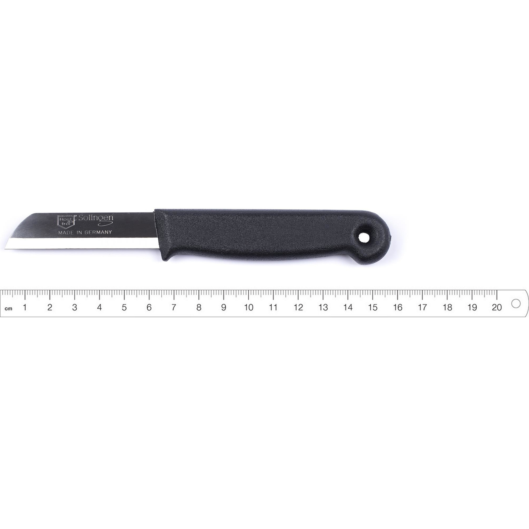 https://cdn.webshopapp.com/shops/331322/files/396011480/file.jpg