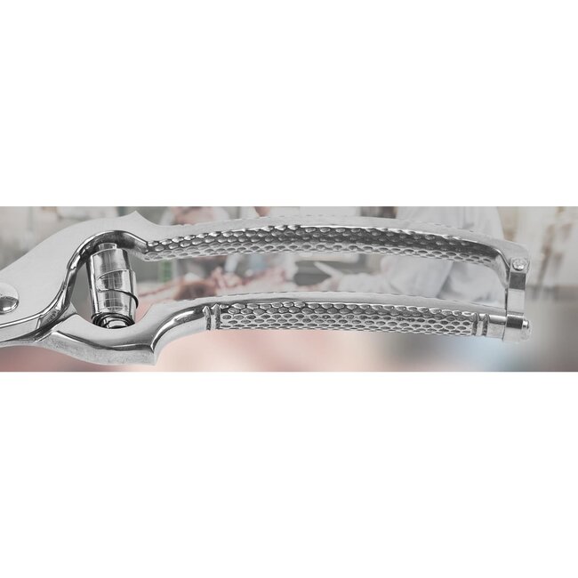 Eikaso Solingen Krachtige RVS Wildschaar 25 cm – Ideaal voor Vlees en Gevogelte