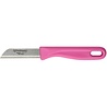 RÖR Solingen RÖR Solingen Schilmesje Aardappelmesje - RVS Glad - 16 cm - Mix Kleur - 10 Stuks RÖR Solingen RÖR Solingen Schilmesje Aardappelmesje - RVS Glad - 16 cm - Mix Kleur - 10 Stuks