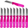 Solingen Solingen Schilmesje Robuust Handvat - RVS Glad - 16 cm met "Blade Cover" - Roze Glitter - 10 stuks Solingen Solingen Schilmesje Robuust Handvat - RVS Glad - 16 cm met "Blade Cover" - Roze Glitter - 10 stuks