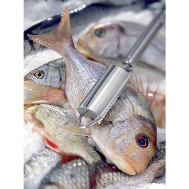 Triangle Professionele Visontschubber – 27 cm – Veelzijdig en Ergonomisch