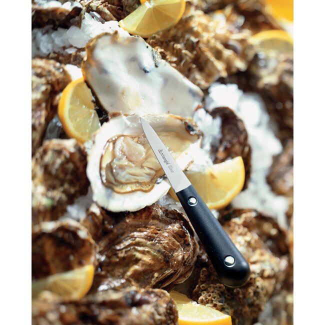 Triangle Professioneel Oestermes met Veilige Grip – RVS Lemmet – Zwart Kunststof Heft – 16 cm