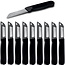 Solingen Schilmesje Robuust Handvat – RVS Glad – 16 cm met Blade Cover – Zwart – 10 Stuks