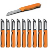 Solingen Solingen Schilmesje Robuust Handvat - RVS Glad - 16 cm met "Blade Cover" - Oranje - 10 stuks Solingen Solingen Schilmesje Robuust Handvat - RVS Glad - 16 cm met "Blade Cover" - Oranje - 10 stuks