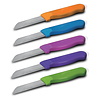 Solingen Solingen Schilmesje Robuust Handvat - RVS Glad - 16 cm met "Blade Cover" - Mix - 10 Stuks Solingen Solingen Schilmesje Robuust Handvat - RVS Glad - 16 cm met "Blade Cover" - Mix - 10 Stuks