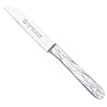 RÖR Solingen RÖR Solingen Schilmes - Recht - RVS - Lemmet 7.5 cm - Heft Parelmoer RÖR Solingen RÖR Solingen Schilmes - Recht - RVS - Lemmet 7.5 cm - Heft Parelmoer