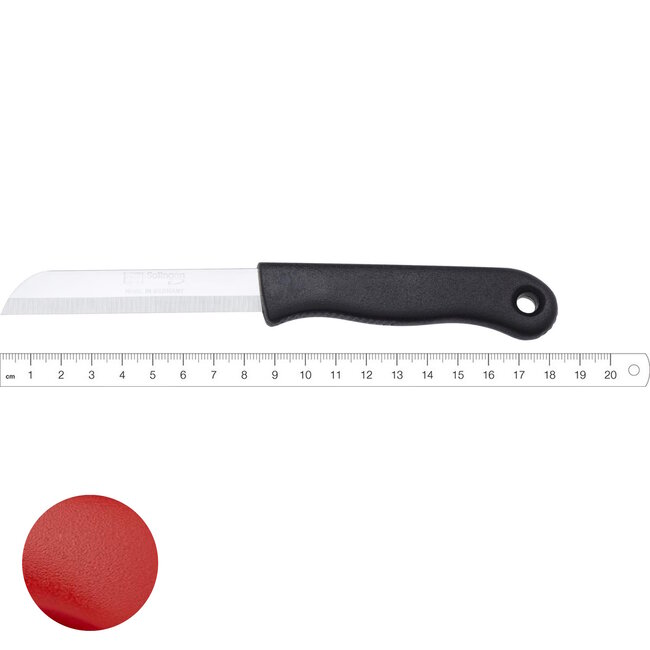 RÖR Solingen 8,5 cm Keukenmes – Ideaal voor Groente en Fruit