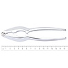 RÖR Solingen RÖR Solingen Notenkraker - Metaal - Lengte 15.5 cm RÖR Solingen RÖR Solingen Notenkraker - Metaal - Lengte 15.5 cm