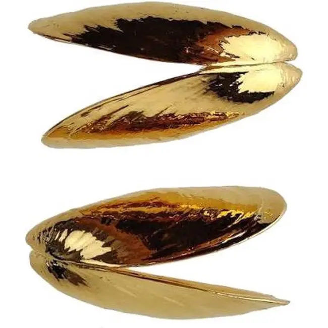 Anovi Zeeuws Mosselbestek in Verguld Goud – Luxe Tafelaccessoire – 2-Delig met Geschenkverpakking