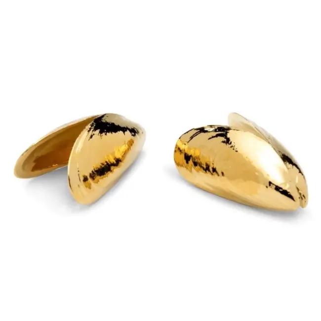 Anovi Zeeuws Mosselbestek in Verguld Goud – Luxe Tafelaccessoire – 2-Delig met Geschenkverpakking