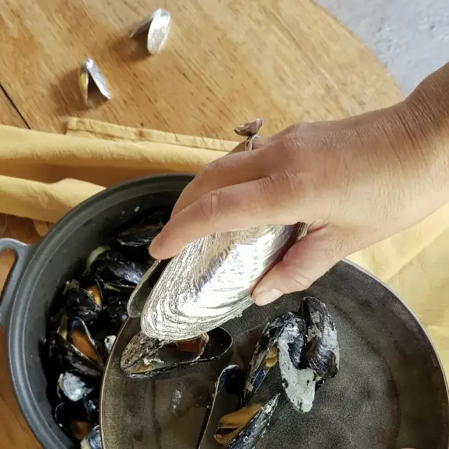 Anovi Mosselschep Geïnspireerd door Zoetwatermossel – 13 cm – Zilvertin met Veermechanisme