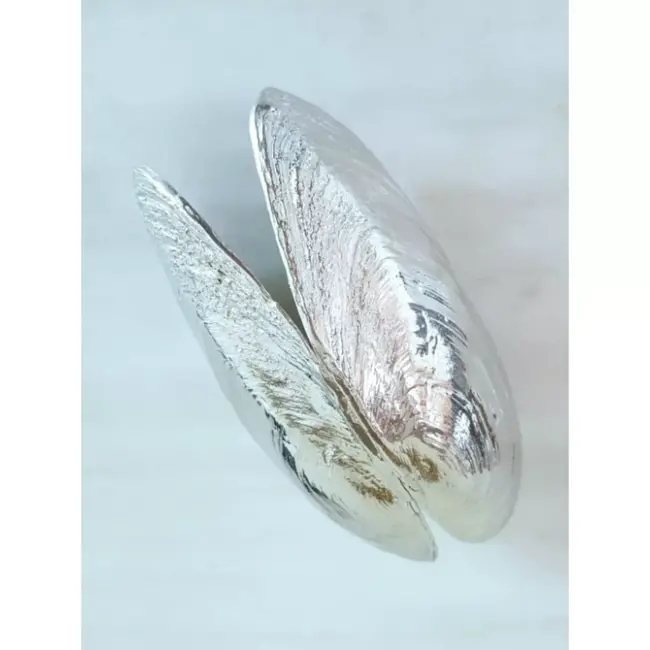 Anovi Mosselschep Geïnspireerd door Zoetwatermossel – 13 cm – Zilvertin met Veermechanisme