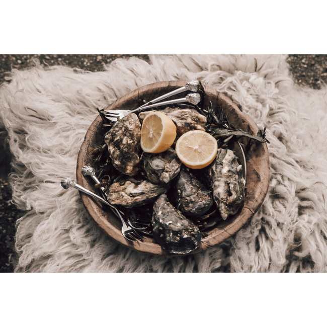 Anovi Luxe Oestervorkjes Set – Perfect voor Zeevruchten – 4 Stuks – Elegante Geschenkverpakking