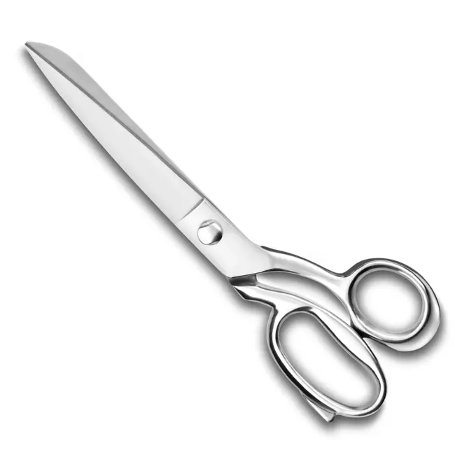 Déglon Professionele visschaar – roestvrij staal – ergonomisch ontwerp – vaatwasmachinebestendig – 24,5 cm