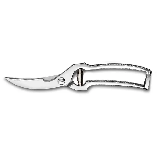 Déglon Gevogelteschaar – Roestvrij Staal – Gesmeed Handvat – 25 cm – Ingebouwde Veer