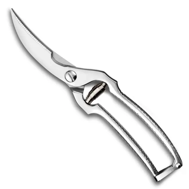 Déglon Gevogelteschaar – Roestvrij Staal – Gesmeed Handvat – 25 cm – Ingebouwde Veer