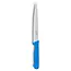 Déglon Blauw fileermes – Flexibel lemmet – Precisie snijden – 18 cm