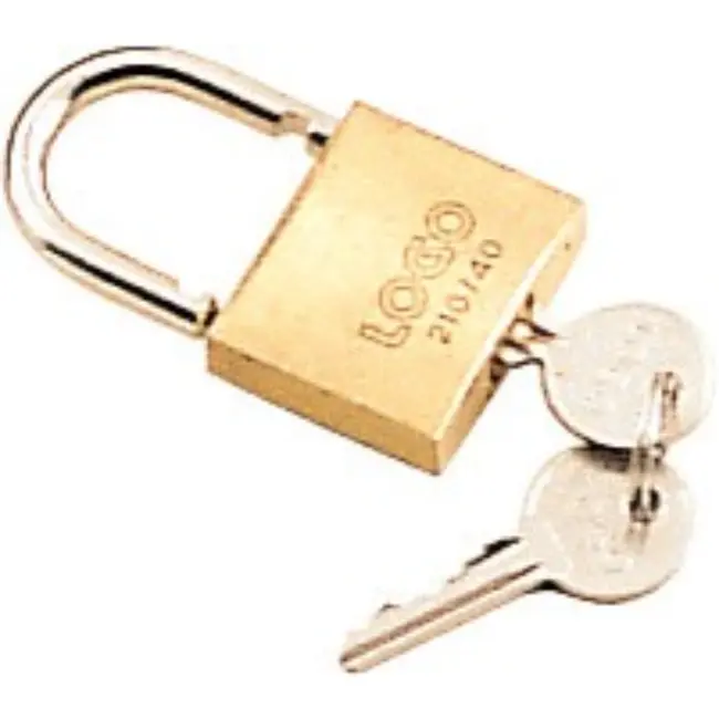 Déglon Messing hangslot – robuust en duurzaam – 45 mm – ideaal voor gereedschapskoffers