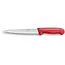 Déglon Uitbeenmes 20 cm – Semi-flexibel – Rood Handvat – Precisie en Comfort