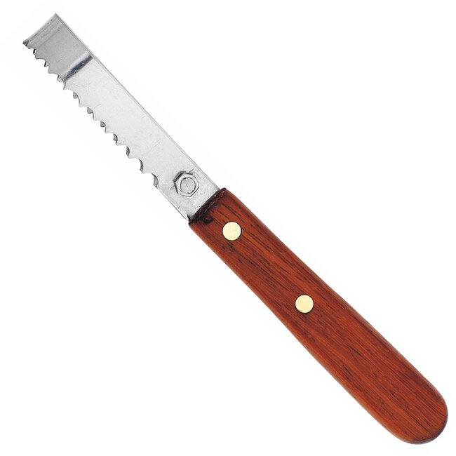 Au Nain Visontschubber – 8 cm Lemmet – Palissander Handvat – Perfect voor Visliefhebbers