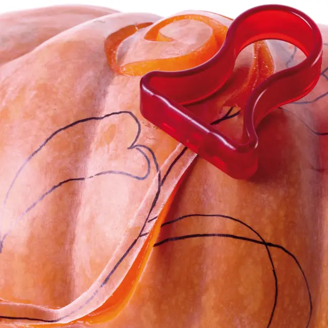 Triangle Essential Pompoen Kerf – V-Model – Perfect voor Artistiek Snijwerk