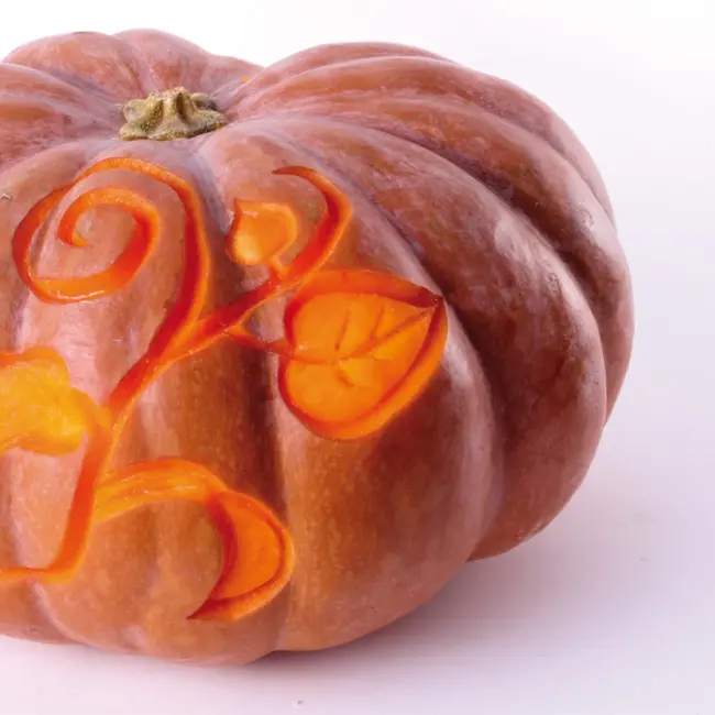 Triangle Essential Pompoen Kerf – V-Model – Perfect voor Artistiek Snijwerk