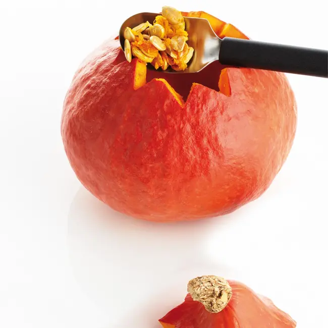 Triangle 2-Delige Pompoen Carve Set – RVS & Vaatwasserbestendig