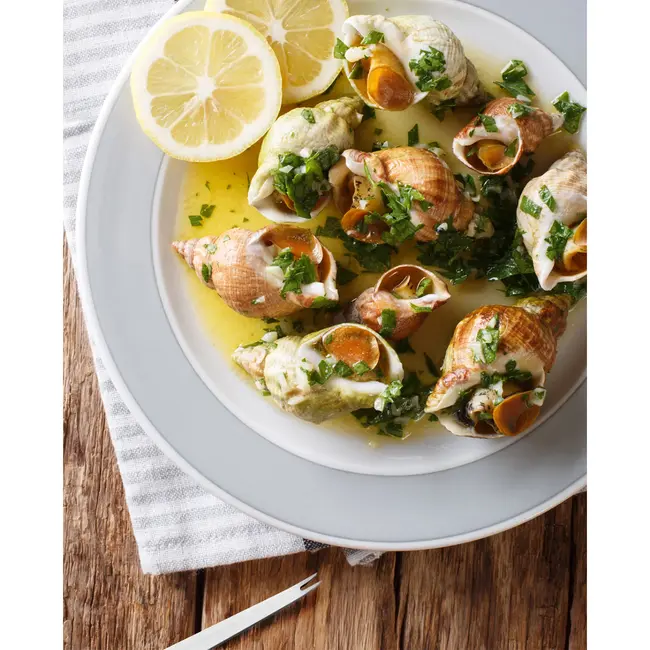 Triangle Duurzame Escargot Vorken voor Zeevruchten – RVS – 6 Stuks