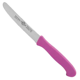 Eikaso Solingen Ontbijtmes – Gekarteld Lemmet 11 cm – Roze – Voor Kaas en Worst