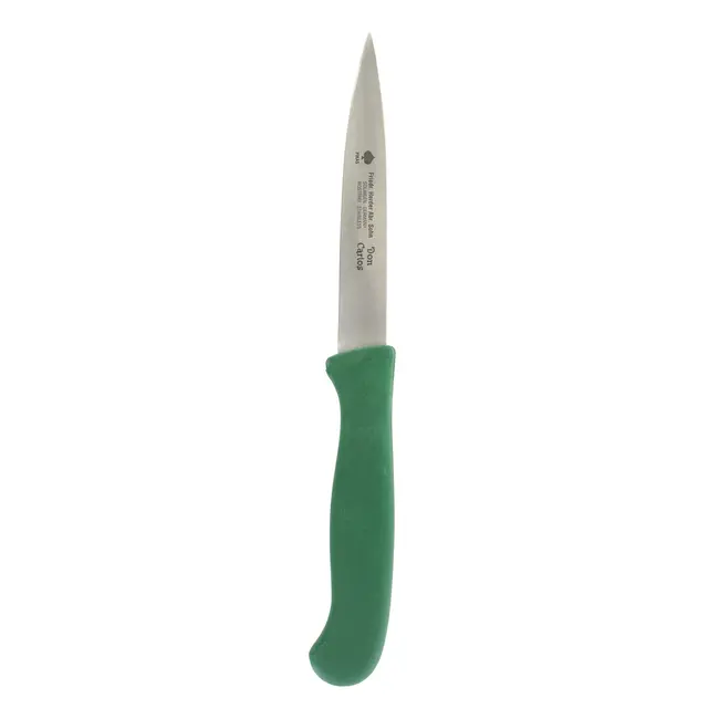 Friedrich Herder Visfileermes – RVS lemmet – Antislip handvat – 110 mm – Groen