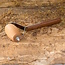 Mars Coat-King Houten massage roller – Stressverlichting en spierontspanning – Voor honden en paarden – Duurzaam beukenhout