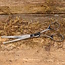 Mars Coat-King Gebogen veiligheidsschaar – roestvrij staal – 17 cm – huisdierverzorging