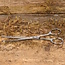 Mars Coat-King Gebogen veiligheidsschaar – roestvrij staal – 17 cm – huisdierverzorging