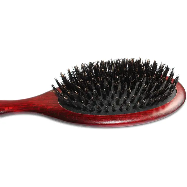 Mars Coat-King Hondenborstel – Natuurlijk Haar – Ergonomisch – Beukenhout – Voor Middelgrote en Grote Honden