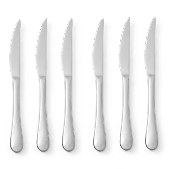HENDI Steakmes – Profi Line – Hoogglans Afwerking – 215mm – Set van 6