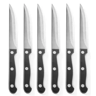 HENDI Steakmessen – Profi Line – Roestvast staal – ABS greep – 215 mm – Set van 6