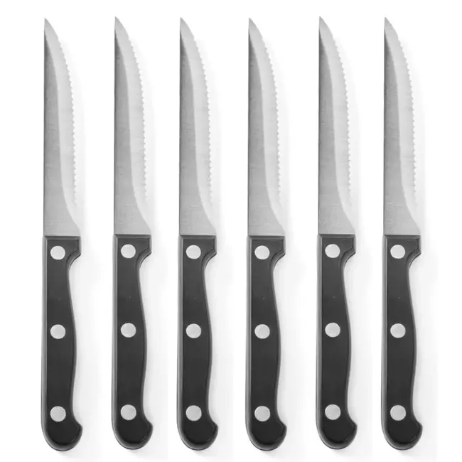 HENDI Steakmessen – Profi Line – Roestvast staal – ABS greep – 215 mm – Set van 6
